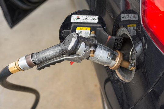 Fuel