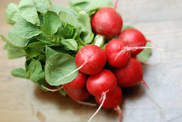 Bunch of radishes