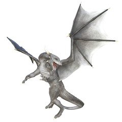 Obraz premium ドラゴン 