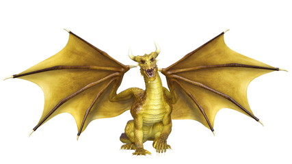 Fototapeta premium ドラゴン 