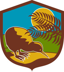 Kiwi Bird Moon Fern Mountain Shield Retro