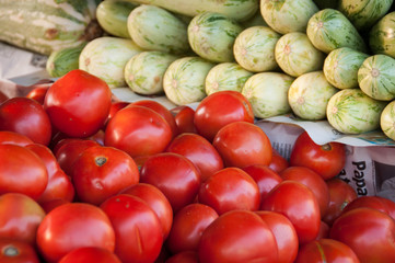 Fresh Tomatoes and Other Vegetables in the Market