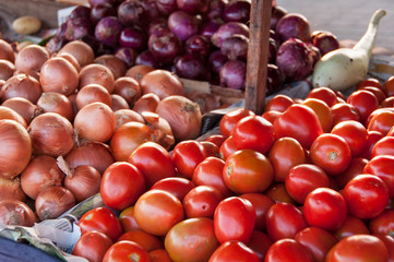 Fresh Tomatoes and Other Vegetables in the Market