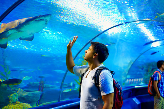 curious tourist watching with interest on shark in oceanarium