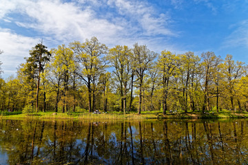 Landscapes Peterhof. Reflection in water