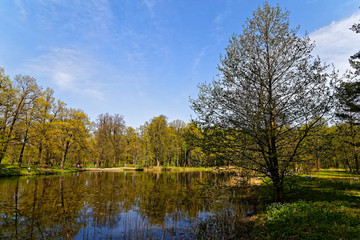 Fototapeta na wymiar Landscapes Peterhof. Reflection in water