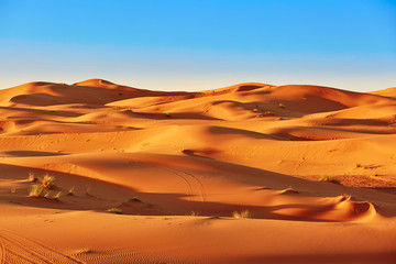Fototapeta na wymiar Sand dunes in the Sahara Desert