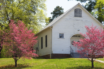 Little white church house and pink dogwoods. - 84070610