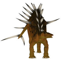 Fototapeta premium Kentrosaurus over White