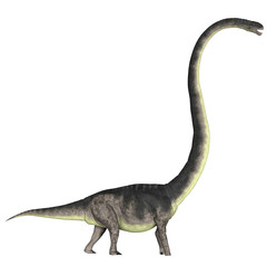 Omeisaurus over White © Catmando