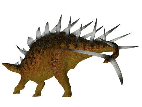 Kentrosaurus Dinosaur Tail
