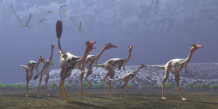 Mononykus Dinosaurs