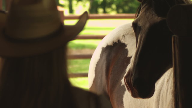 A woman with long brown hair wearing a cowboy hat looks at a brown and white horse in a stable