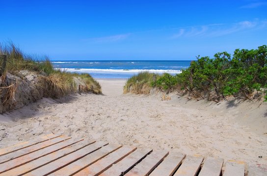 Langeoog Duene mit Weg - Langeoog dune and track 02