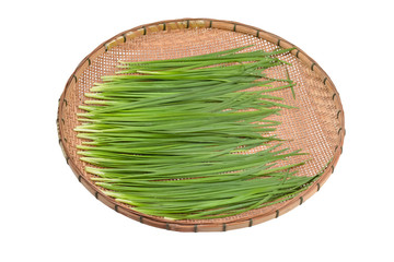 garlic chive in threshing basket isolated on white.