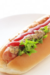 Hotdog on white background