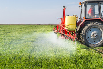 Obraz premium Tractor spraying wheat field