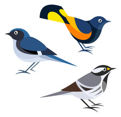 Stylized Birds - Warblers