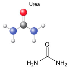 Chemical formula and model of urea molecule