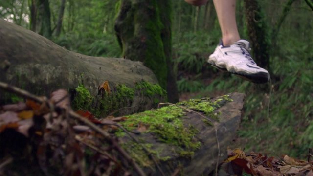 Jogger jumping over log in the woods