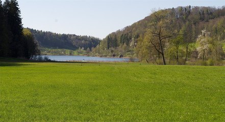 Obraz premium Türlersee 