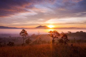 misty morning sunrise in mountain at Thung Salang Luang National