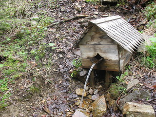 Весенняя вода в горах Карпат