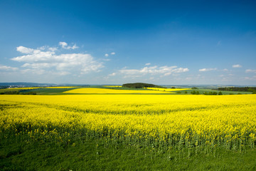 Beautiful spring rural landscape