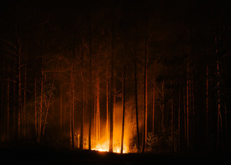 murderous beautiful wildfire