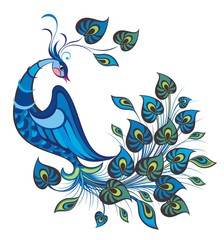 Naklejki  Peacock bird