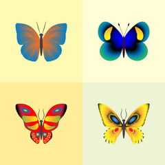 Fototapeta na wymiar vector illustration set of abstract butterflies