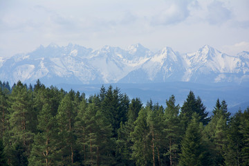 Tatra-spring landscape