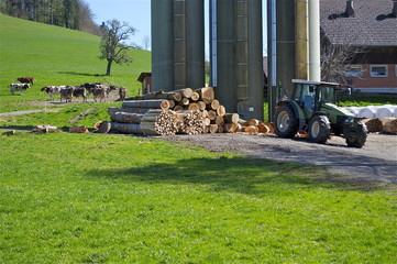 Bauernbetrieb mit Silos, Kühen, Traktor, Brennholz © hachri