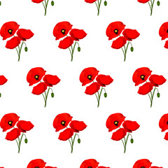 Seamless pattern with poppies flowers