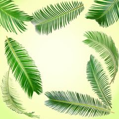 Frame of green palm leaves on light background