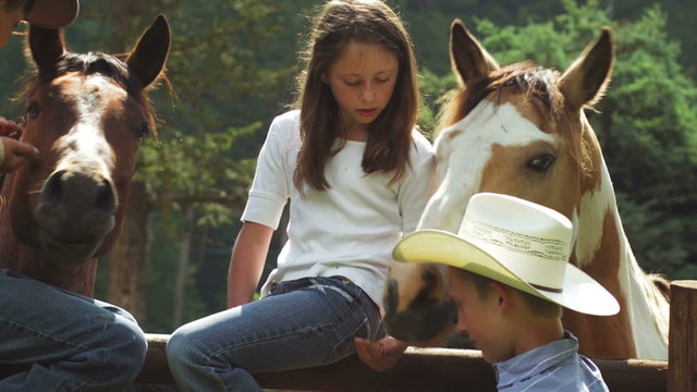 Two young boys in a cowboy hats and a girl petting a horses
