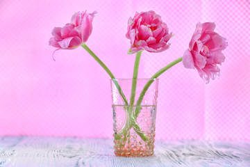 Pink tulips in glass vase on color background
