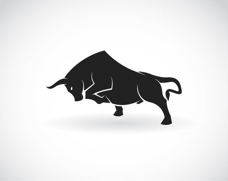 Vector of a bull on a white background. Animals.