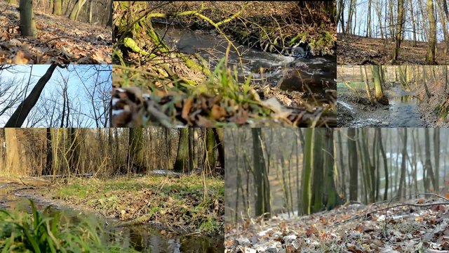 4K montage (compilation) - brook in the forest - sunny - winter - bere trees and grass - treetop - blue sky