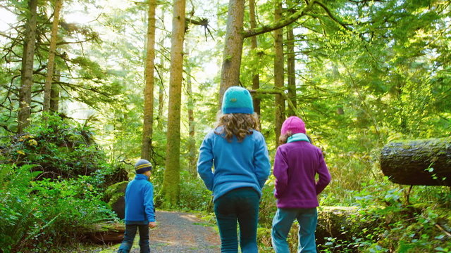 Three young children go for a walk down a green forrest path