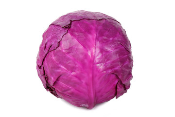 Fototapeta premium red cabbage on a white background