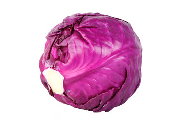 Obraz premium red cabbage