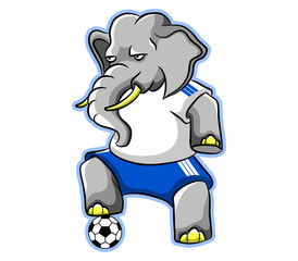 An elephant play soccer, he in a steady position.