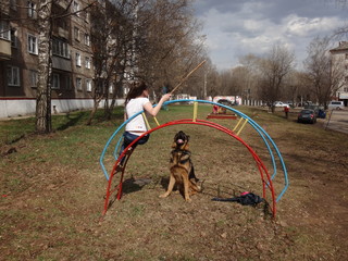 Дети, играющие с собакой в городском дворе