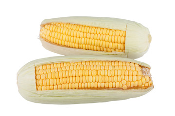 sweet corn