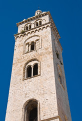 Fototapeta na wymiar Cathedral church of Barletta. Puglia. Italy.