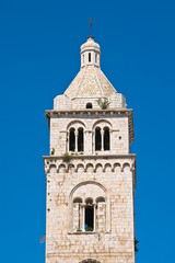 Fototapeta na wymiar Cathedral church of Barletta. Puglia. Italy. 