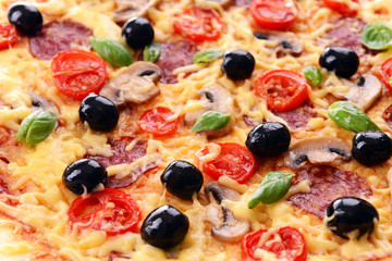 Delicious homemade pizza close-up