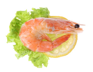 Boiled shrimp with lemon and lettuce isolated on white