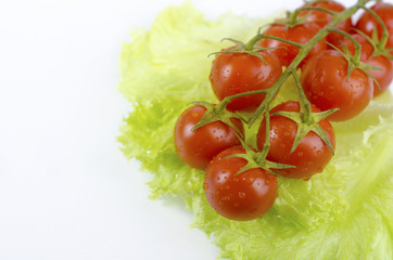 Red tomatoes and green salad leaf 